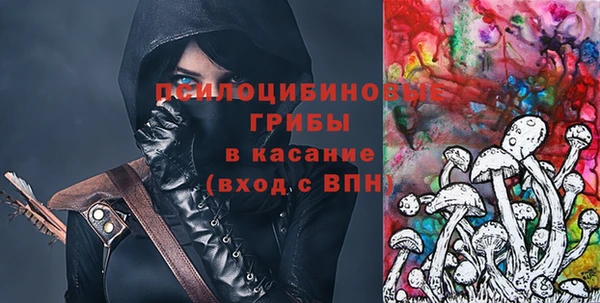 индика Билибино