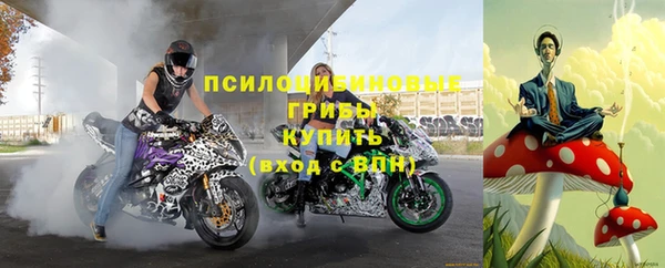 хмурый Медногорск