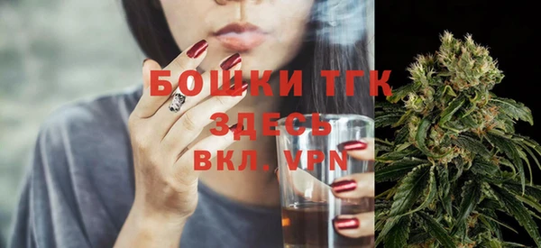 мдпв Бикин