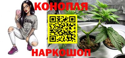 mdpv Вязники