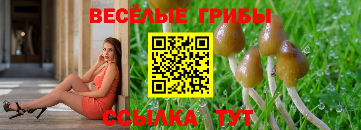 Галлюциногенные грибы MAGIC MUSHROOMS Морозовск